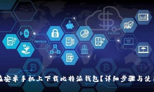 如何在安卓手机上下载比特派钱包?详细步骤与使用指南