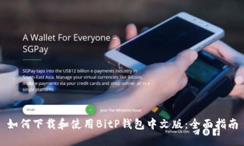 如何下载和使用BitP钱包中文版:全面指南