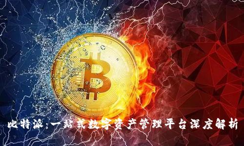 比特派:一站式数字资产管理平台深度解析