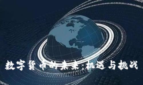 数字货币的未来:机遇与挑战