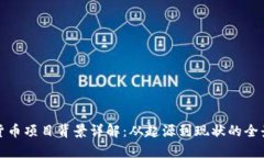 数字货币项目背景详解:从起源到现状的全景分