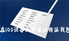 如何在iOS设备上下载比特派钱包应用