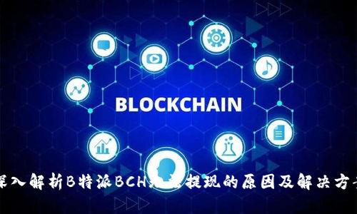 深入解析B特派BCH无法提现的原因及解决方案
