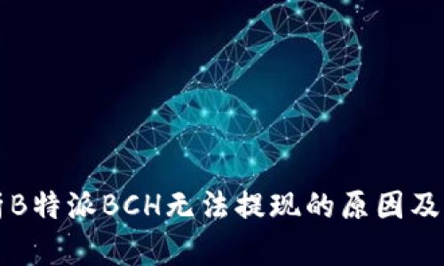 深入解析B特派BCH无法提现的原因及解决方案