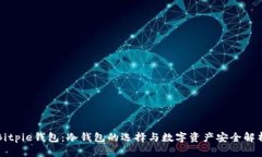 Bitpie钱包：冷钱包的选择与数字资产安全解析