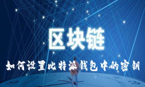 如何设置比特派钱包中的密钥