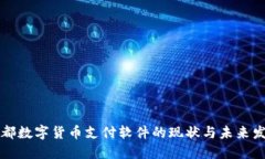 成都数字货币支付软件的现状与未来发展