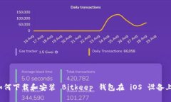 如何下载和安装 Bitkeep 钱包在 iOS 设备上?