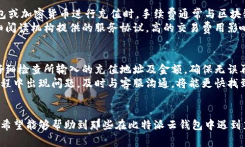 biao ti/biao ti比特派云钱包如何充值及常见问题解答/biao ti
比特派云钱包, 充值, 加密货币, 钱包使用, 数字资产/guanjianci

一、比特派云钱包概述
比特派云钱包（Bitpie）是一款流行的数字货币钱包，致力于为用户提供安全、便捷的加密资产体验。通过该钱包，用户可以存储、管理和转移多种数字货币，且它支持多种功能如资产兑换、市场行情查询等，适合各类加密货币投资者使用。
在数字货币日益普及的今天，选择一个安全稳定的钱包至关重要。比特派云钱包底层技术成熟，注重用户隐私保护，并采取多重安全措施，以确保用户的资产安全不受威胁。在使用上，比特派云钱包操作界面友好，适配多种平台，为用户提供良好的使用体验。

二、比特派云钱包充值功能
关于比特派云钱包的充值功能，很多用户在使用过程中可能会遇到一些困惑。实际上，比特派云钱包的充值方式是相对灵活的，用户可以通过多种渠道进行充值，包括但不限于通过银行转账、使用其他wallet或平台进行法币充值、或接收其他用户转账等方式。
充值操作的具体步骤通常为：登录比特派云钱包，选择“充值”功能，选择充值方式，根据提示完成相应操作即可。不过，用户在进行充值时需注意各类手续费和充值时间，不同的充值方式可能会有不同的要求和限制。

三、比特派云钱包常见问题
对于比特派云钱包的使用，用户在充值时可能会面临一些常见问题。在接下来的部分，我们将探讨五个与比特派云钱包充值相关的问题，并提供详细解答。

1. 比特派云钱包不能充值的原因是什么？
用户在尝试给比特派云钱包充值时，可能会遇到充值失败等情况，这可能由多种原因引起。首先，用户所选择的充值渠道可能存在功能限制，例如某些支付平台不支持向加密货币钱包充值。其次，用户的账户可能未完成身份验证，某些充值渠道要求进行 KYC（身份验证）后才能进行充值。
另外，充值金额可能未达到特定的最低额度，这在大多数加密交易平台中都较为常见，用户在充值前应查看相关规定。同时，网络拥堵或充值路径问题（如 blockchain 网络延迟）也有可能阻碍充值完成。此外，如果用户的比特派云钱包出现了技术性故障，这也会导致充值操作无法顺利进行。

2. 如何解决比特派云钱包充值失败的问题？
如果用户在比特派云钱包中遇到充值失败的情况，可以从几个层面着手解决。首先，用户应检查所选充值方式是否可用，尝试更换其他可用的充值方式。如果选择了银行转账，需确保所填信息无误，确保账单支付方正是比特派云指示的账户。如果选择通过加密货币进行充值，确保充值的地址正确。
其次，用户应确认自身账户的 KYC 是否通过。若未完成身份认证，需按照系统提示进行身份认证，以便解除充值限制。如果再次成功充值不起作用，用户可以参考比特派云提供的帮助指南，必要时可以联系钱包官方客服进行咨询。

3. 比特派云钱包是否支持多种币种充值？
比特派云钱包支持多种不同类型的加密货币充值，用户可以根据需要进行选择。在比特派云的界面上，用户可以查看支持的币种列表并选择具体的币种进行充值。常见的支持币种有比特币、以太坊、莱特币等主流数字资产，而一些较小的币种也可能根据市场需求陆续添加。
不过需要注意的是，不同加密资产的充值手续和时间通常不一致。因此，用户应注意平台通知，特别是在进行大额充值时，了解各币种的转账时间和费用。此外，用户在进行充值时确保所选币种正确，以避免因地址错误导致的资产损失。

4. 比特派云钱包的充值手续费如何？
在使用比特派云钱包进行充值时，各种充值方式都会涉及一定的手续费。通常，银行转账或法币充值方式可能收取固定或百分比的手续费，而通过其他数字钱包或加密货币进行充值时，手续费通常与区块链网络的拥挤程度有关。
例如，在进行比特币充值时，如果比特币网络拥堵，用户可能面临更高的网络手续费。用户在选择充值方式时，建议在充值前了解不同方式的手续费标准，并仔细阅读机构提供的服务协议。高的交易费用影响用户转账的总体成本，因此用户要根据自身情况选择合适的充值方式。

5. 如何提高比特派云钱包的充值成功率？
用户可以通过一些方法和技巧来提高比特派云钱包的充值成功率。首先，在进行充值前，确保自身网络稳定，避免因网络问题引起的支付失败。其次，建议用户仔细检查所输入的充值地址及金额，确保无误再进行操作。此外，用户在选择充值币种和通道时，可以咨询平台客服，了解具体的充值流程和注意事项。
此外，为了提高充值成功率，用户还可以定期关注比特派云钱包的官网或社区，获取最新的产品动态和用户反馈，及时调整自身的使用方式。如果用户在充值过程中出现问题，及时与客服沟通，将能更快找到解决方法，从而有效完成充值。

总结
比特派云钱包是一款为用户提供安全、便捷的数字货币资产管理工具。在进行充值时，通过了解相关细节，用户可以有效避免充值失败的情况。通过本文的解答希望能够帮助到那些在比特派云钱包中遇到充值问题的用户，确保用户的加密资产安全。无论是新手还是经验丰富的投资者，在使用比特派云钱包时，掌握相关的重要知识，能为用户提供更好的使用体验。