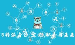 解密B特派身份：定义、职责与未来发展