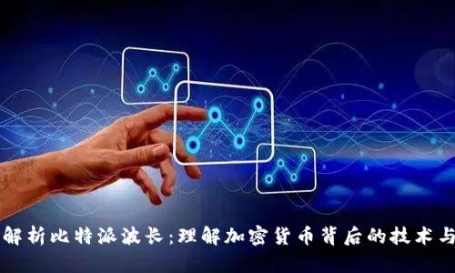 深入解析比特派波长:理解加密货币背后的技术与应用