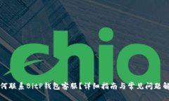 如何联系BitP钱包客服？详细指南与常见问题解析