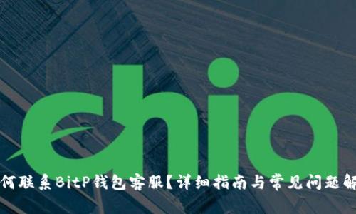 如何联系BitP钱包客服?详细指南与常见问题解析