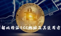 详解比特派BCC地址及其使用方法