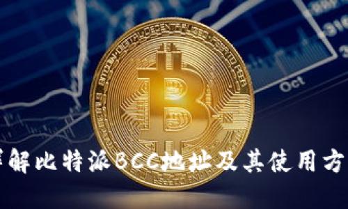 详解比特派BCC地址及其使用方法