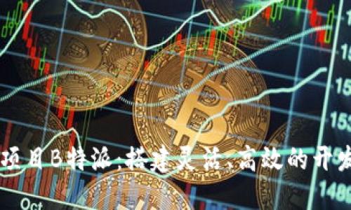 开源项目B特派:搭建灵活、高效的开发平台