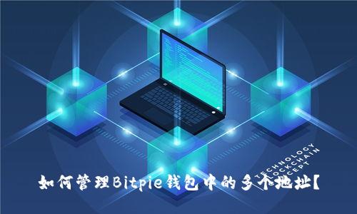 如何管理Bitpie钱包中的多个地址?