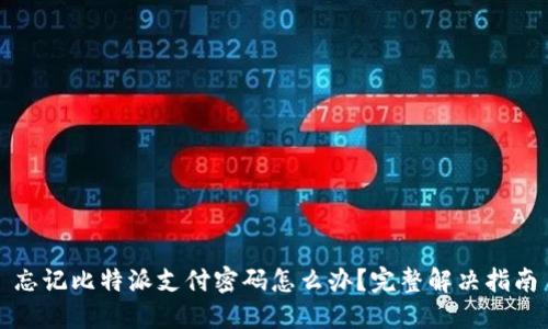 忘记比特派支付密码怎么办?完整解决指南