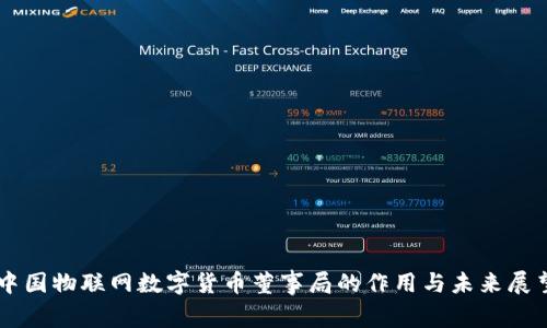 中国物联网数字货币董事局的作用与未来展望