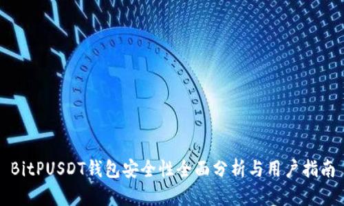 BitPUSDT钱包安全性全面分析与用户指南