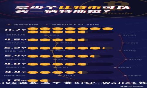 如何在iOS设备上下载BitP Wallet钱包应用