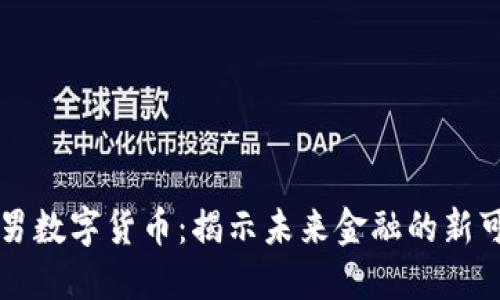 曹机男数字货币：揭示未来金融的新可能性