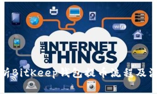 全面解析BitKeep钱包提币流程及注意事项