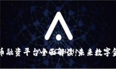 新加坡数字货币融资平台全面解读：未来数字金