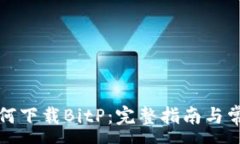 :苹果手机如何下载BitP：完整指南与常见问题解答