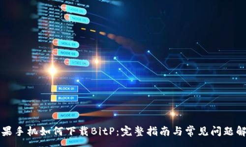 :
苹果手机如何下载BitP：完整指南与常见问题解答