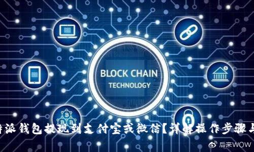 如何将B特派钱包提现到支付宝或微信？详解操作步骤与注意事项