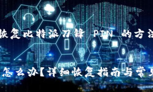 的注意：以下内容是关于恢复比特派刀锋 PIN 的方法和相关问题的详细介绍。


忘记比特派刀锋 PIN 该怎么办？详细恢复指南与常见问题解答