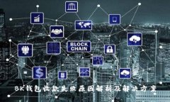BK钱包收款失败原因解析及解决方案