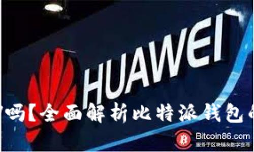 比特派钱包支持BSV吗?全面解析比特派钱包的数字货币支持情况