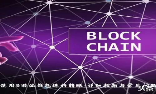 如何使用B特派钱包进行转账:详细指南与常见问题解答