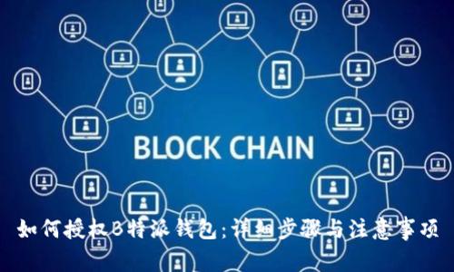 如何授权B特派钱包：详细步骤与注意事项