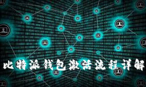 比特派钱包激活流程详解