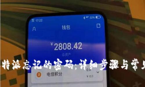 如何找回b特派忘记的密码:详细步骤与常见问题解答