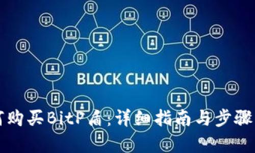 如何购买BitP盾：详细指南与步骤解析