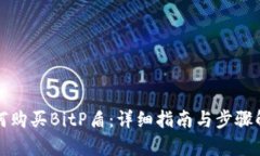 如何购买BitP盾：详细指南与步骤解析
