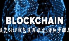 如何恢复BitP钱包使用状态：详细步骤与技巧