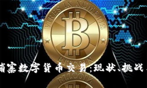 美国与柬埔寨数字货币交易：现状、挑战与未来展望