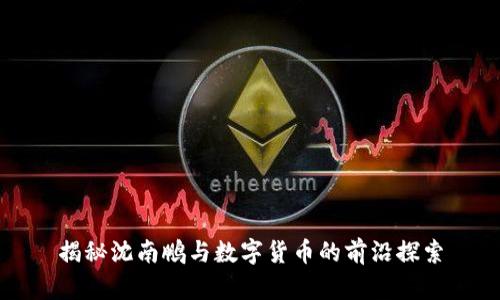 揭秘沈南鹏与数字货币的前沿探索