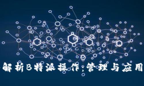 深入解析B特派操作：管理与应用实践