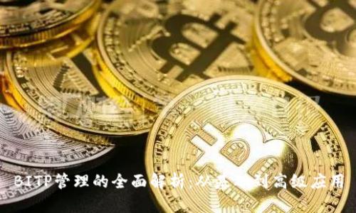 BITP管理的全面解析：从基础到高级应用