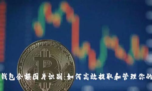 数字货币钱包余额图片识别：如何高效提取和管理你的数字资产
