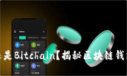 选择比特派还是Bitchain？揭秘区块链钱包的最佳选择