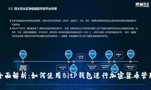 全面解析：如何使用BitP钱包进行加密货币管理