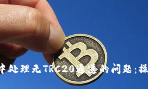 如何在B特派钱包中处理无TRC20通道的问题：操作指南与解决方案