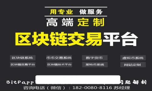 BitPapp下载指南：易用性与常见问题解析